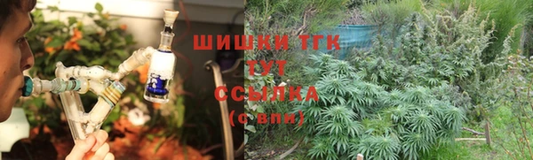 стаф Вязьма